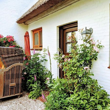 Ferienhaus Ebbe Und Flut, Terrassen-Whg Nieblum Exteriör bild