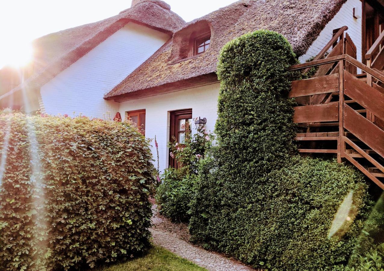 Ferienhaus Ebbe Und Flut, Terrassen-Whg Nieblum Exteriör bild